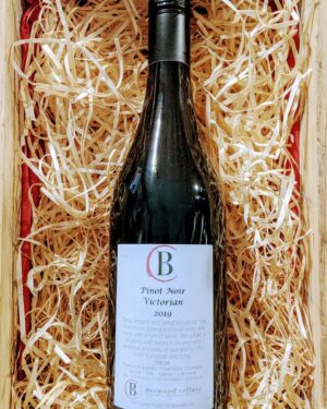 2019 BC Pinot Noir Cleanskin