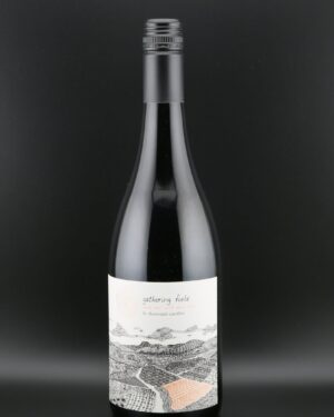 Thousand Candles Gathering Field Pinot Noir